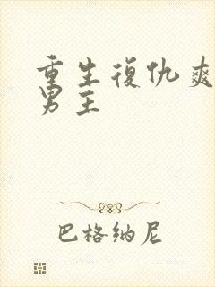 重生复仇爽文双男主