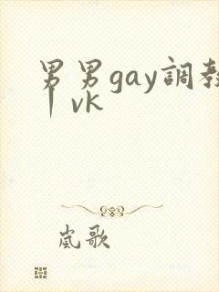 男男gay调教丨vk