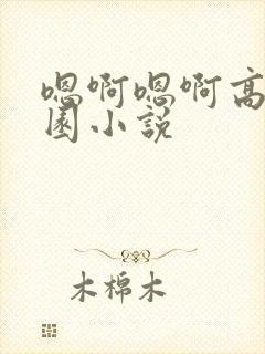 嗯啊嗯啊高h校园小说封面