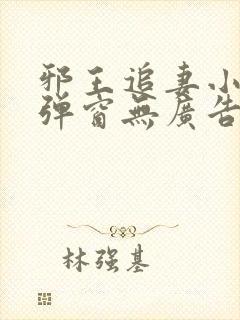 邪王追妻小说无弹窗无广告