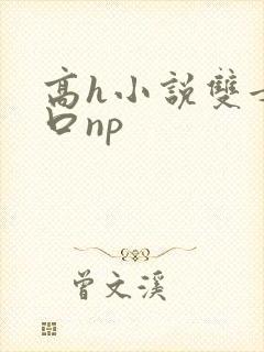 高h小说双女重口np封面