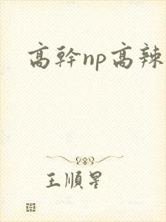 高干np高辣文封面