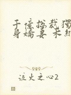 千亿总裁独宠替身娇妻 禾维