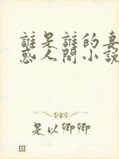 谁是谁的妻子魅惑人间小说封面