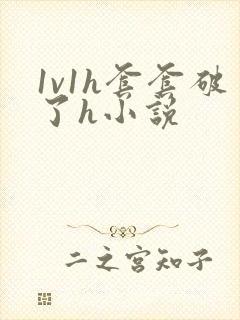 1v1h套套破了h小说