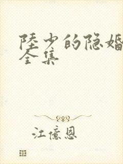 陆少的隐婚罪妻全集