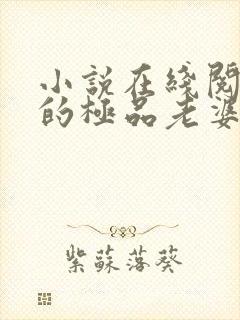 小说在线阅读我的极品老婆