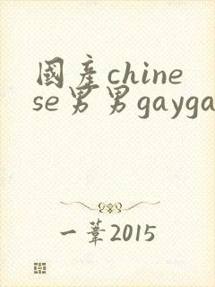 国产chinese男男gaygay网站肌肉