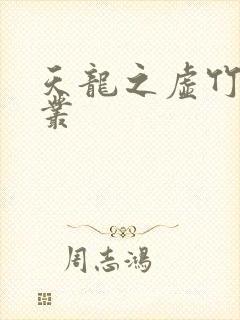 天龙之虚竹戏花丛封面