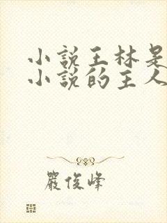 小说王林是哪本小说的主人公封面