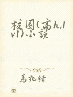 校园(高h,1v1)小说