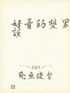 好看的双男主小说