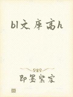 bl文库高h