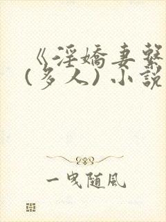 《淫娇妻系列》(多人) 小说