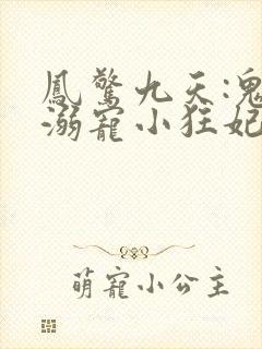 凤惊九天:鬼帝溺宠小狂妃