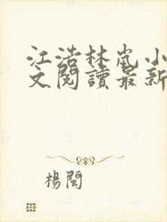 江浩林岚小说全文阅读最新章节更新