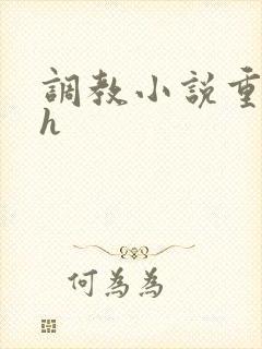 调教小说重口高h封面