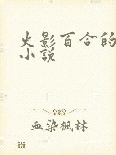 火影百合的同人小说