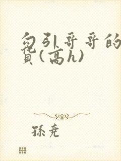 勾引哥哥的小骚货(高h)