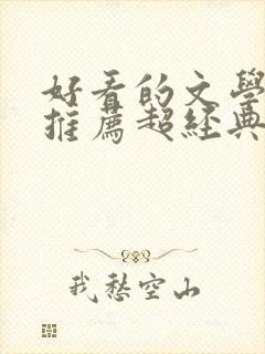 好看的文学小说推荐超经典封面