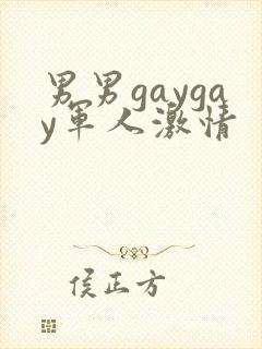 男男gaygay军人激情