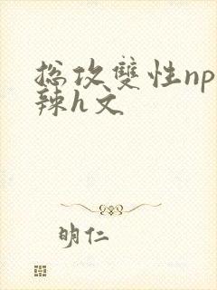 总攻双性np高辣h文