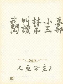 我叫林小喜全文阅读第三部