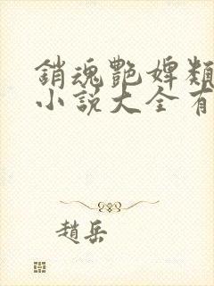 销魂艳婢类似的小说大全有哪些