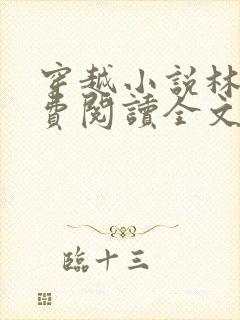 穿越小说林丰免费阅读全文