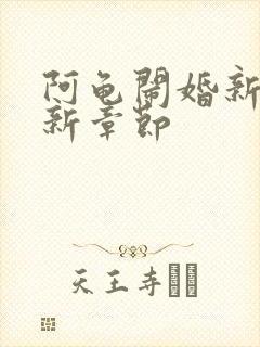 阿龟闹婚新娘最新章节