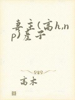 妻主(高h,np)产子封面