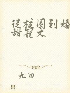 从校园到婚纱的甜宠文封面