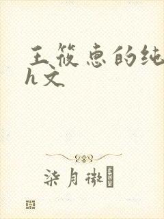 王筱惠的纯肉高h文