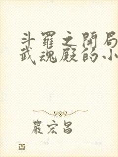 斗罗之开局加入武魂殿的小说封面