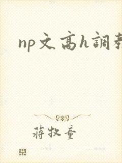 np文高h调教