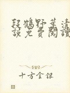 段鹤野叶清璃小说免费阅读最新章节