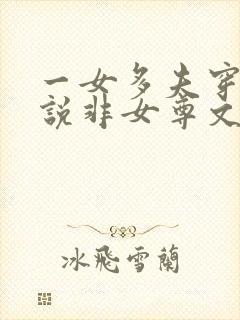 一女多夫穿越小说非女尊文