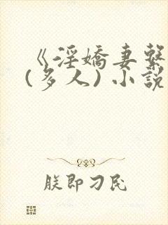 《淫娇妻系列》(多人) 小说