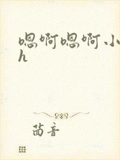 嗯啊嗯啊小说高h封面