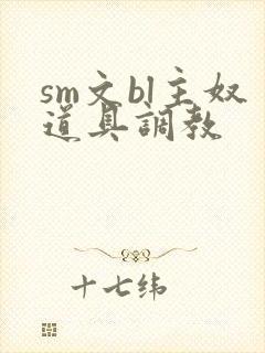 sm文bl主奴道具调教