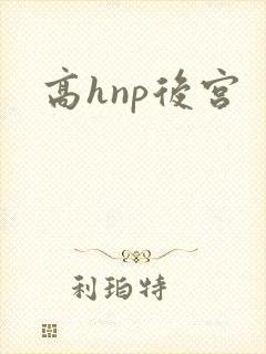高hnp后宫