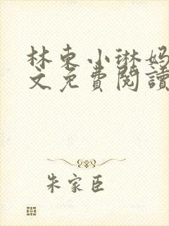 林东小琳妈妈全文免费阅读小说