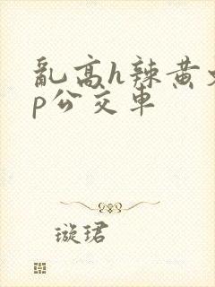 乱高h辣黄文np公交车