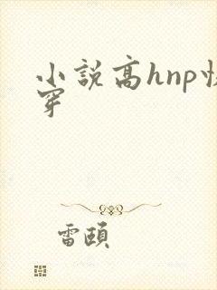 小说高hnp快穿