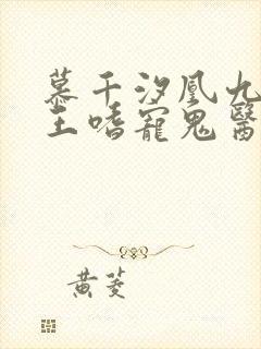 慕千汐凰九夜邪王嗜宠鬼医狂妃