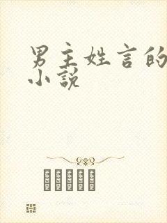 男主姓言的总裁小说