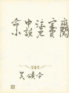 命中注定恋上你小说免费阅读封面