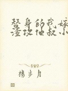 替身的我嫁给了渣攻他叔小说