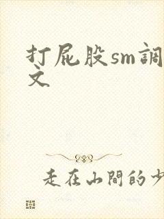打屁股sm调教文封面