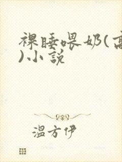 裸睡喂奶(高h)小说封面